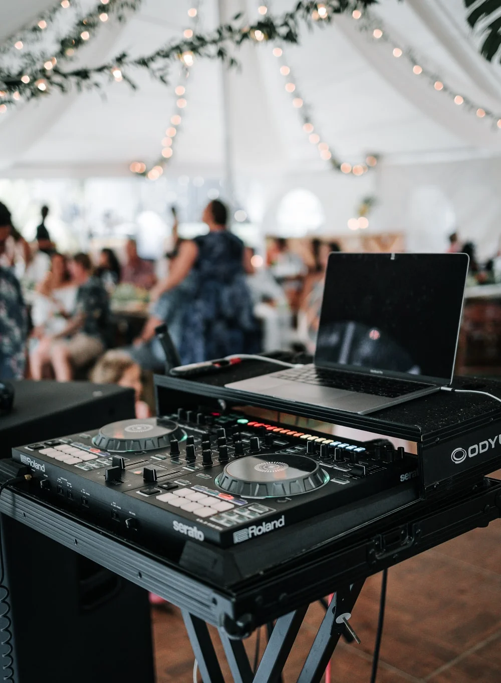 DJ at wedding reception